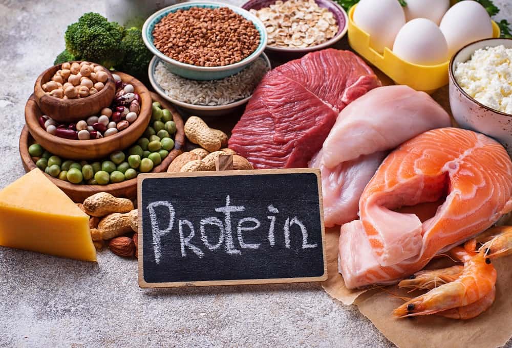 Eating more protein to reduce belly fat for teens