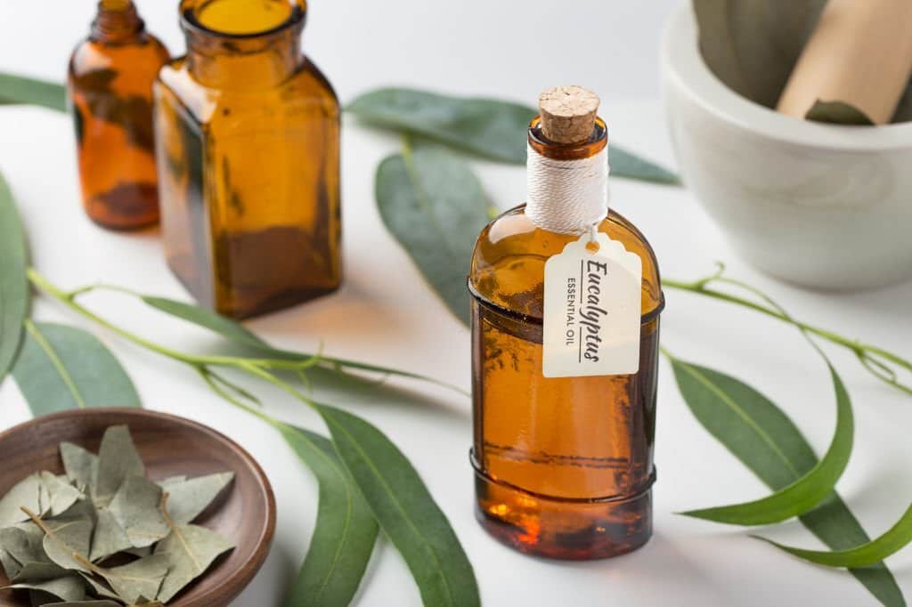 Eucalyptus Essential Oil for sinus infection