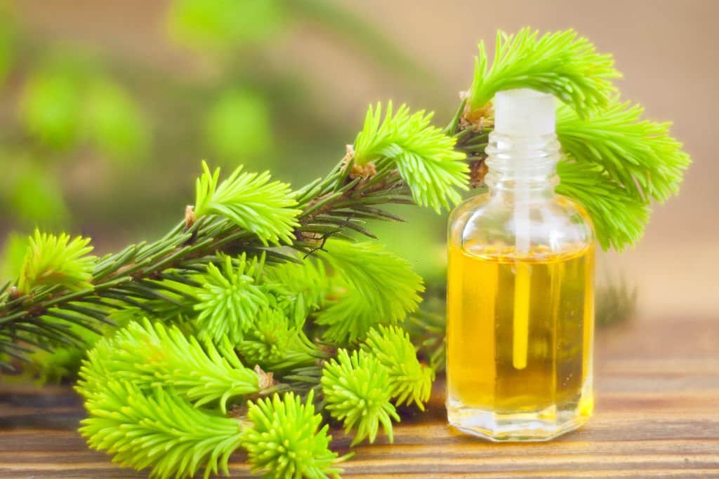 Tea tree oil to treat shoulder acne