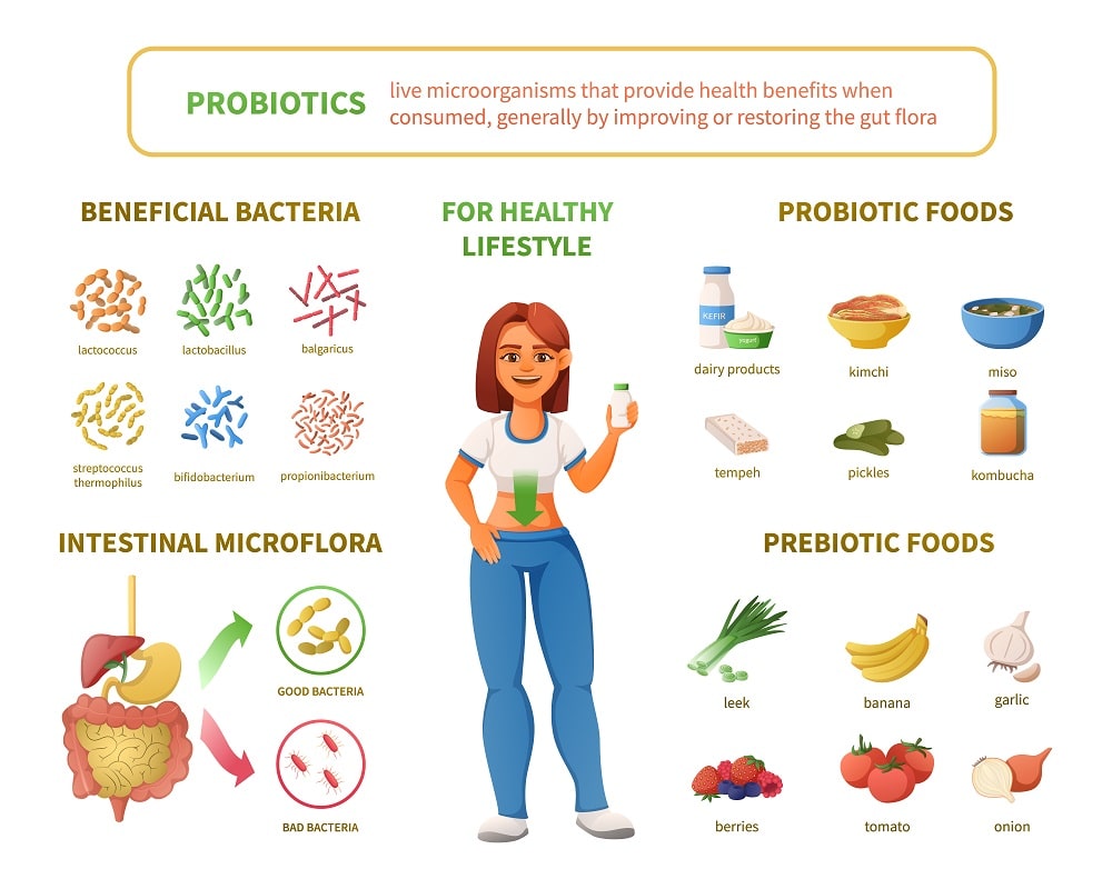 best probiotics for weight loss