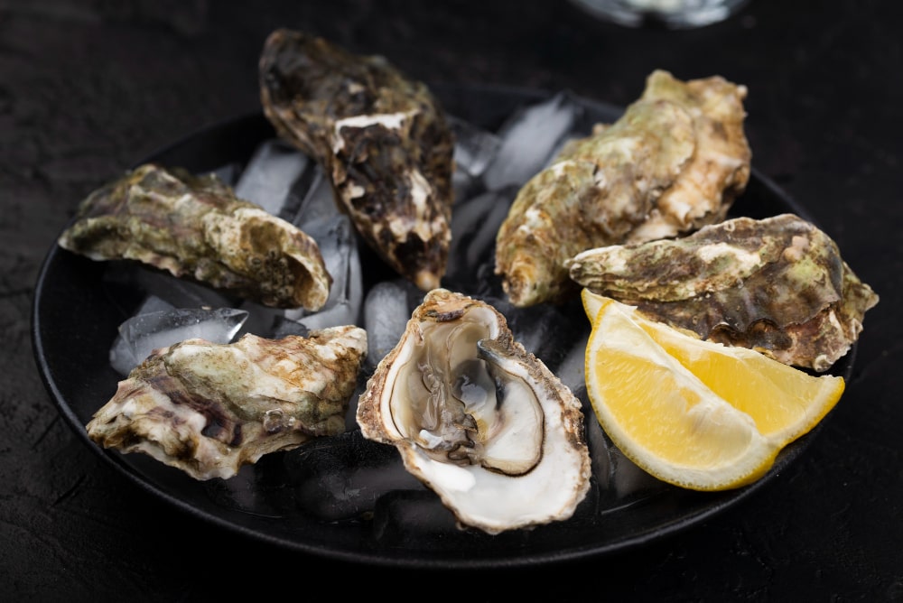 can you eat oysters while pregnant